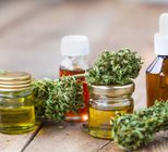 זן, שימוש בטוח והתאמת הטיפול: הכל על קנאביס רפואי-תמונה